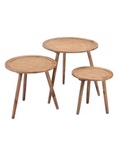 Paul Accent Tables (Set of 2) in Natural (339|101933)