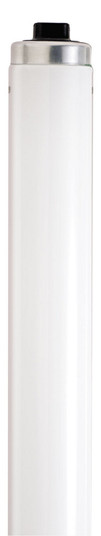 Light Bulb in White (230|S6454)