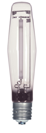 Light Bulb in Clear (230|S5903)
