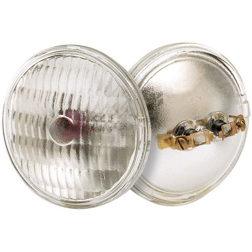 Light Bulb in Clear (230|S4316)