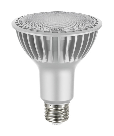 Light Bulb in Silver (230|S22241)