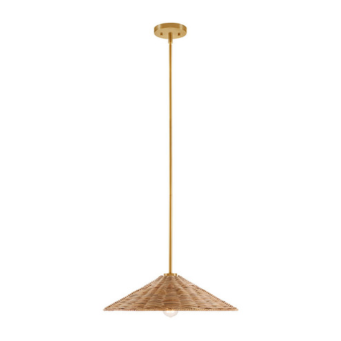 One Light Pendant in Natural Brass (446|M7041NB)