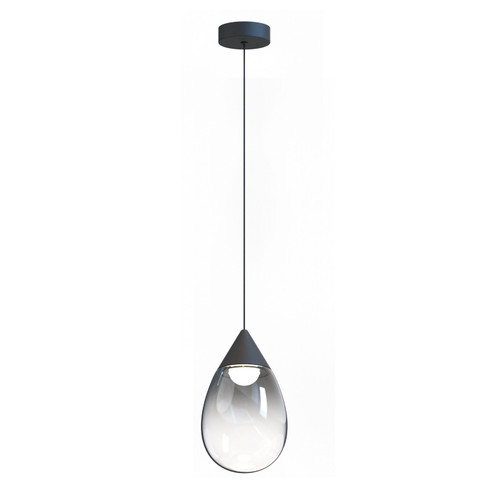 Dewdrop LED Pendant in Black (86|E21562-142BK)