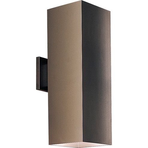 Square Two Light Wall Lantern in Antique Bronze (54|P5644-20)