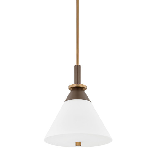 Staton One Light Pendant in Patina Brass/Bronze (67|F4216-PBR/BRZ)