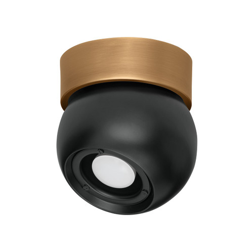 Odin One Light Flush Mount in Patina Brass/Soft Black (67|C1406-PBR/SBK)