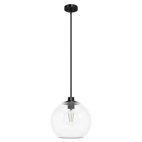 Xidane One Light Pendant in Matte Black (47|19512)