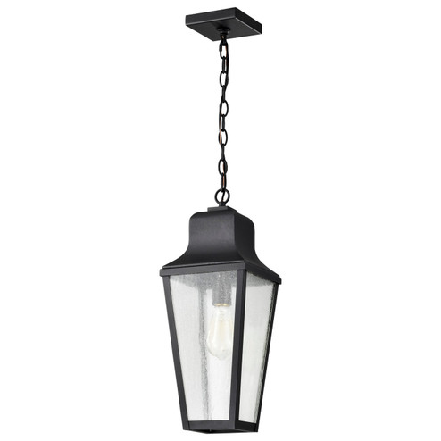 Lawrence One Light Hanging Lantern in Matte Black (72|60-8135)