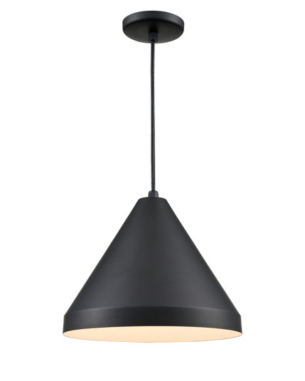 R Series One Light Pendant in Satin Black (59|RWCC17-SB)