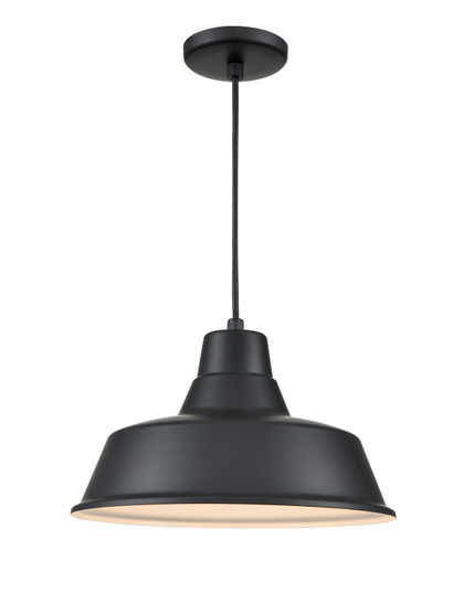 R Series One Light Pendant in Satin Black (59|RCLWC14-SB)