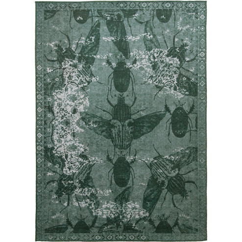 Home Accents - Floor Rugs (443|RLAI-43667-38)