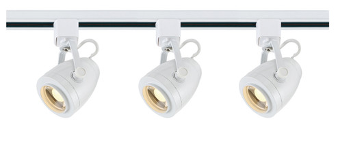 LED Track Kit in White (72|TK413)