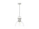 Duncan One Light Pendant in Pewter (62|3604-L PW-CLR)