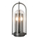 Davis Two Light Outdoor Wall Sconce in Coastal Bronze (39|305212-SKT-75-II0825)