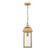 Madrid One Light Outdoor Pendant in Weathered Brass (78|AC8185WB)