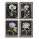 Florals On Black Framed Prints, Set/4 in Dark Brown (52|32426)