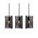 Dana Three Light Linear Pendant in Black (162|DNAP10MBBKLNR3)