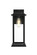 Araceli One Light Outdoor Wall Sconce in Black and Clear (173|OD611W17BK)