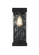 Thompson One Light Outdoor Wall Sconce in Black (173|OD371W16BK)