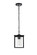 Dover One Light Outdoor Pendant in Black (173|OD302H11BK)