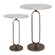 Irene Side Table in Antique Brass (443|TA473)
