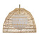 Palm LED Ceiling Fixture in Brown (443|LPC4455)