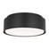 Dartmore Two Light Flush Mount in Midnight Black (454|DJF1042MBK)