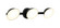 Emerson LED Wall Sconce in Matte Black (423|S18803MB)
