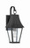Chateau Grande One Light Outdoor Wall Mount in Sand Coal w/Gold (7|72781-66G)