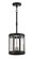 Majestic Splendor Three Light Pendant in Sand Coal And Polished Nickel (7|5490-729)