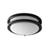 Oracle LED Ceiling Mount in Black (19|3-618-15)
