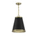 One Light Pendant in Matte Black with Natural Brass (446|M7014MBKNB)