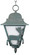 Deer Series Outdoor Pendant (337|DR1771)