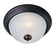 Essentials - 584x Two Light Flush Mount in Oil Rubbed Bronze (16|5849FTOI)