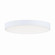 Trim - 0-10 V LED Flush Mount in White (16|57894WTWT)
