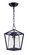 Artisan One Light Outdoor Hanging Lantern in Black (16|3179CLBK)