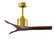 Mollywood 42'' Ceiling Fan in Brushed Brass (101|MW-BRBR-WA-42)