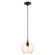 Aldrich One Light Pendant in English Bronze w/ Antique Brasss (107|49089-92)