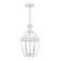 Monterey Two Light Outdoor Pendant in White (107|2255-03)