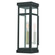 Hopewell One Light Outdoor Wall Lantern in Bronze w/ Antique Brass Cluster and Polished Chrome Stainless Steel (107|20703-07)