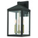 Nyack Three Light Outdoor Wall Lantern in Bronze w/ Antique Brass Cluster (107|20584-07)