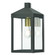 Nyack One Light Outdoor Wall Lantern in Bronze w/ Antique Brass Cluster and Polished Chrome Stainless Steel (107|20582-07)