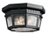 Courtyard Three Light Outdoor Ceiling Mount in Textured Black (12|9538BKT)