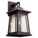 Taden One Light Outdoor Wall Mount in Rubbed Bronze (12|49910RZ)