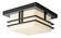 Tremillo Two Light Outdoor Ceiling Mount in Black (12|49206BK)