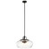 Davenport Three Light Pendant/Semi Flush Mount in Olde Bronze (12|43904OZ)