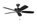 Canfield Patio 52''Ceiling Fan in Satin Black (12|310192SBK)