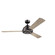 Pinion 60''Ceiling Fan in Anvil Iron (12|300253AVI)