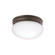 Ceiling Space Two Light Flush Mount in Olde Bronze (12|209OZ)