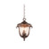 Santa Barbara Outdoor Three Light Outdoor Hanging Lantern in Burnished Bronze (33|9007BB)